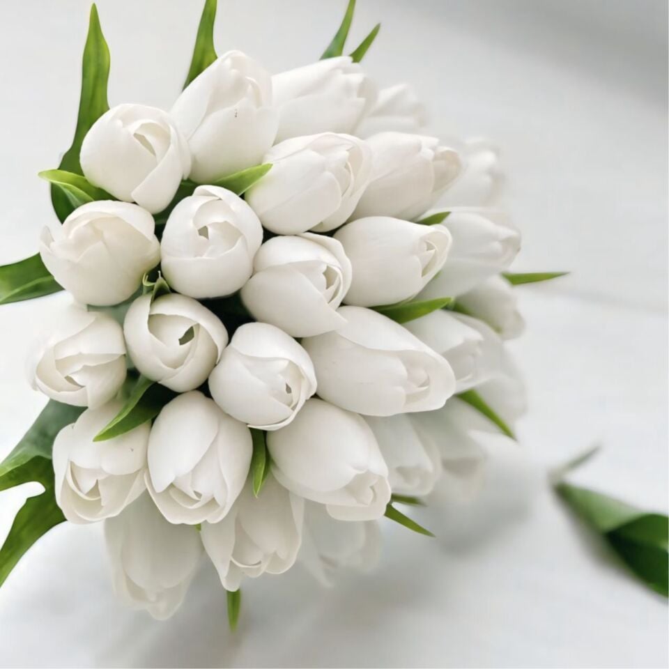 Beyaz Lale Gelin Çiceği