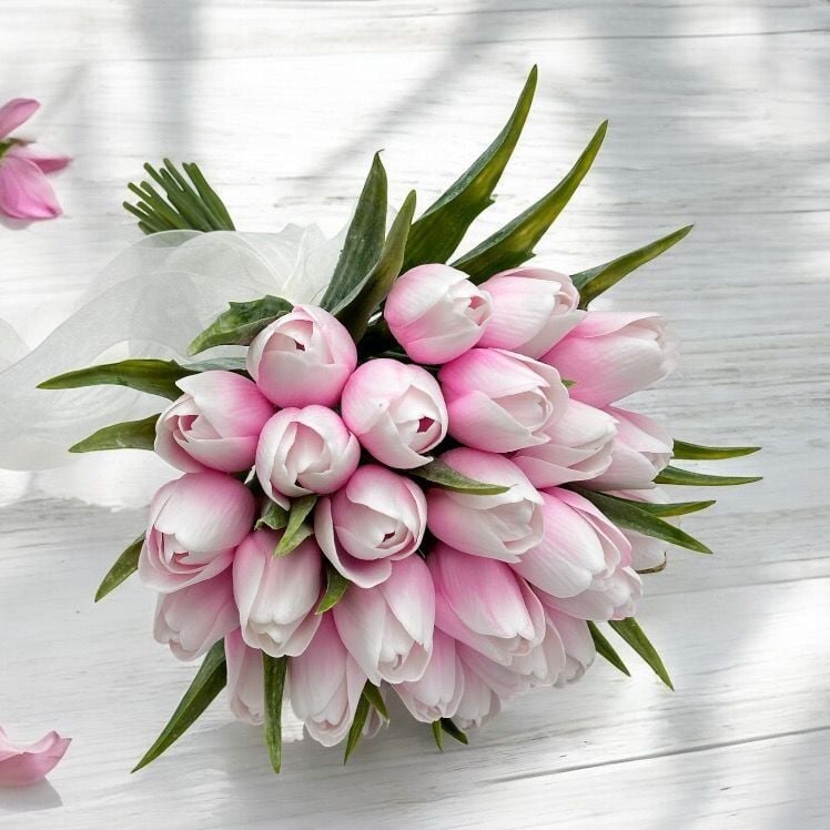 Pembe Lale Gelin Çiceği