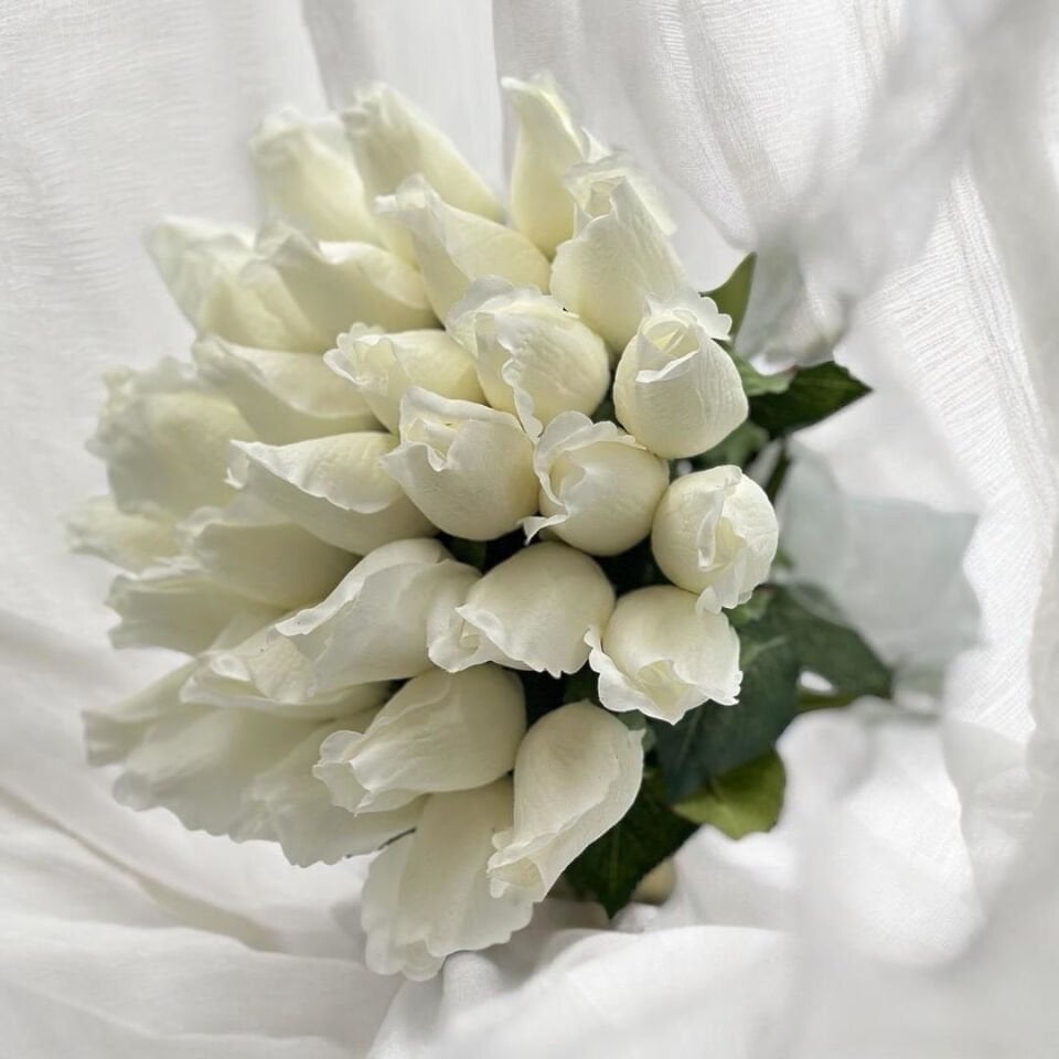 Islak Gonca Gül Gelin Çiçeği